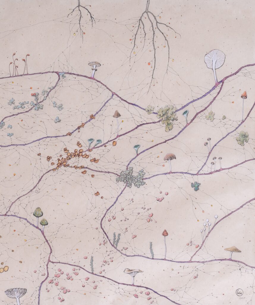 Kika Notten, detail van Rootmap I, 2025