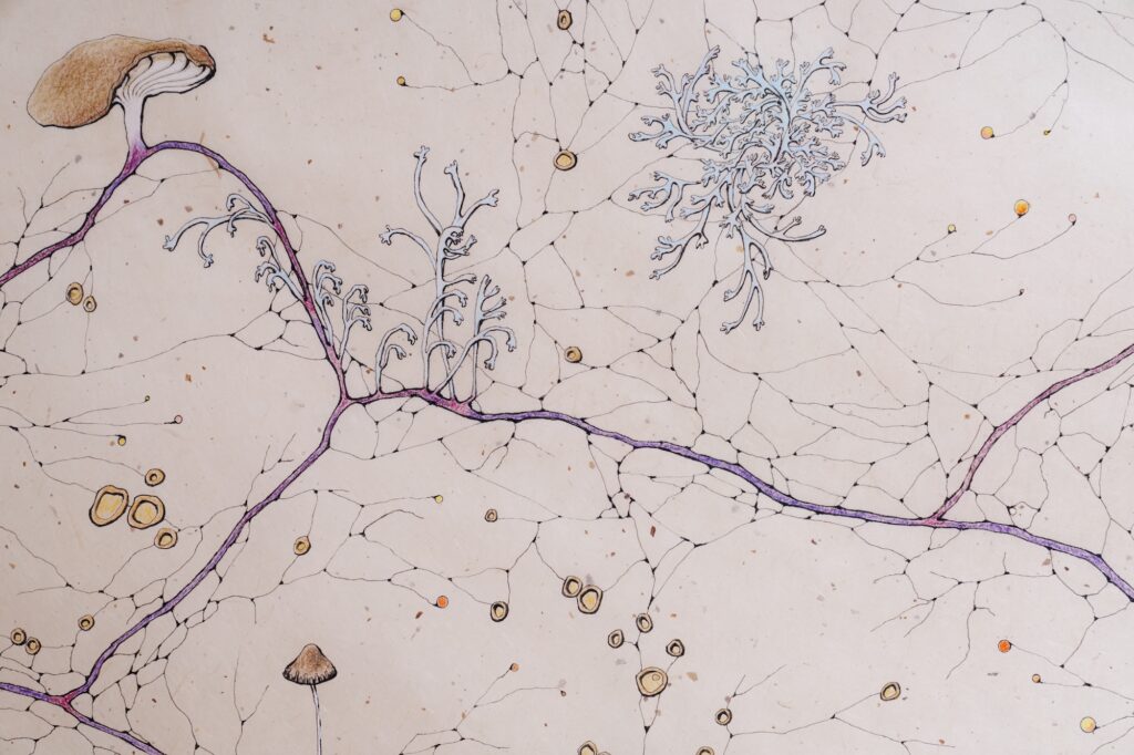 Kika Notten, detail van Rootmap I, 2025