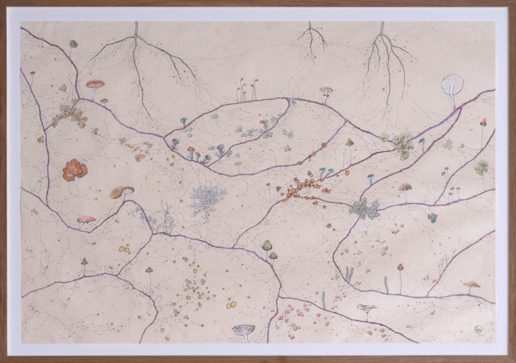 Kika Notten, Rootmap I, 2025