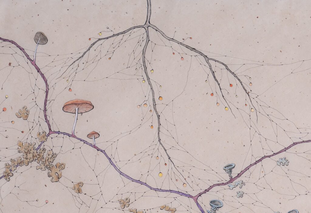Kika Notten, detail van Rootmap I, 2025