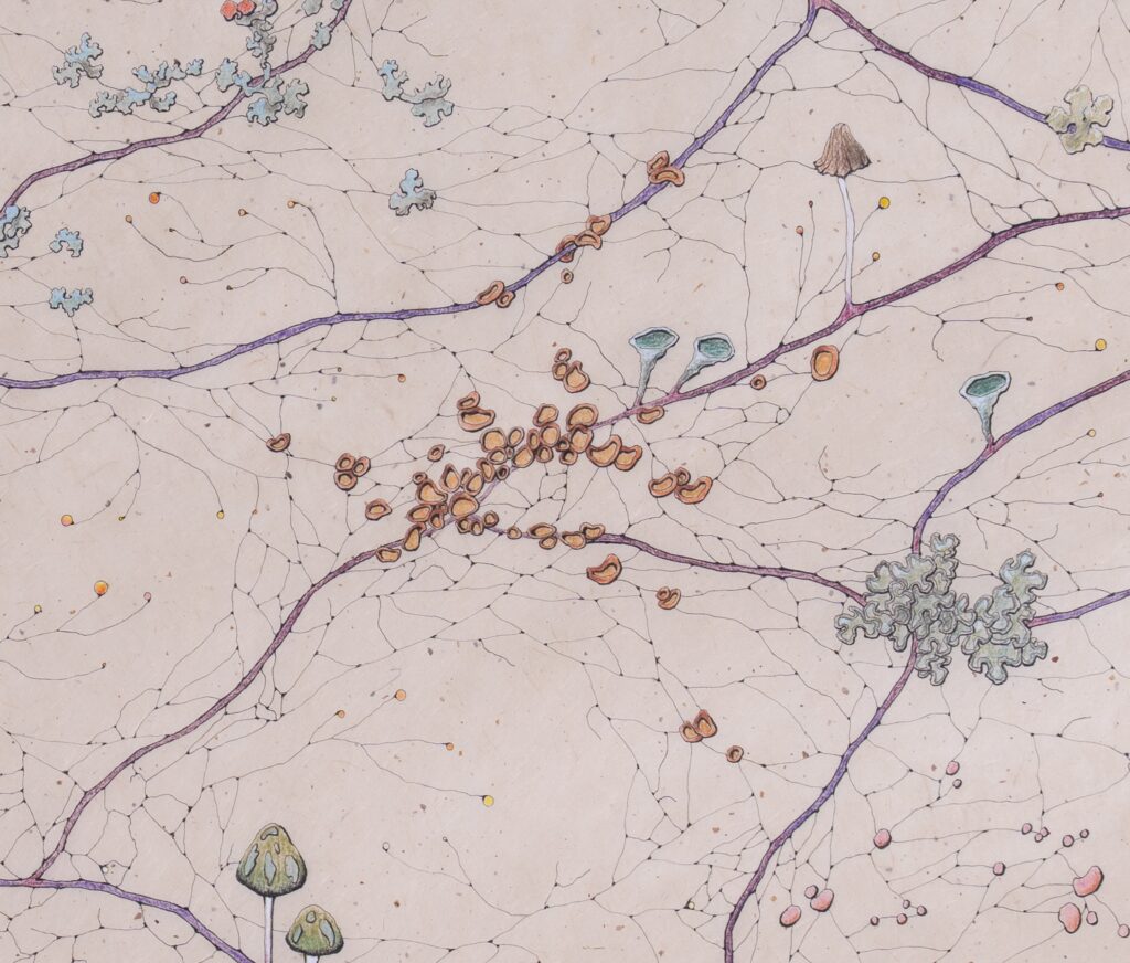 Kika Notten, detail van Rootmap I, 2025