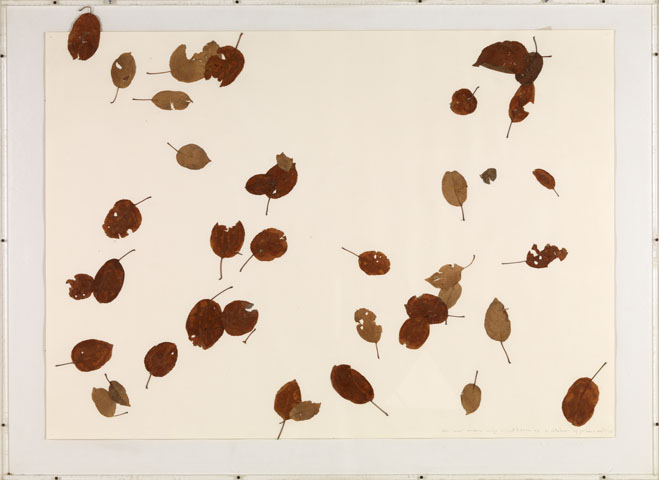 herman de vries, 1 uur onder de appelboom