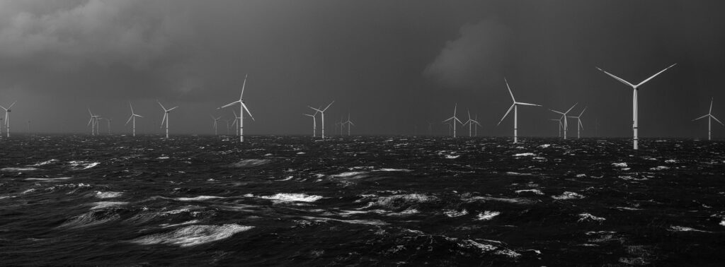Kadir van Lohuizen, Nieuwe Energie, 2025-2026