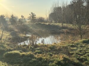 Het eendenbad in De Proeftuin | foto: Anke Riesenkamp