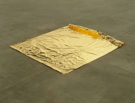 Roni Horn, Gold Field (1980-82)