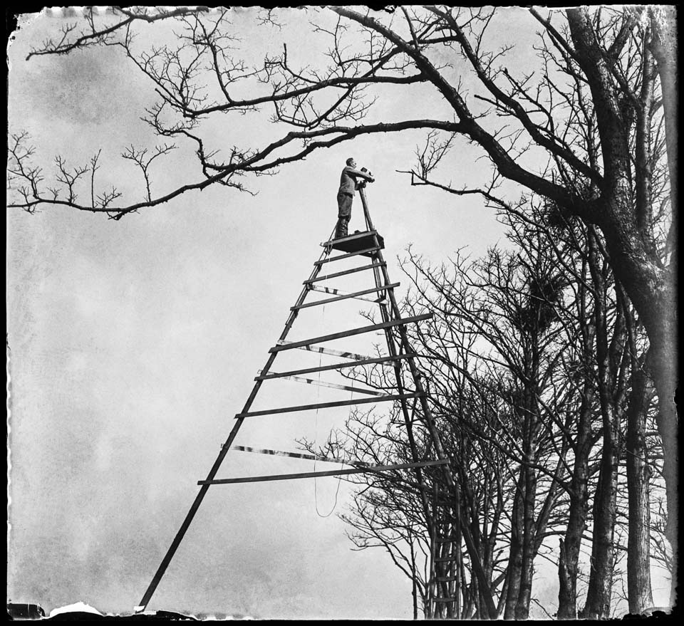 Vogelfotografie van de bovenste plank, Sloten, 1933 © Jan Pieter Strijbos / Nederlands Fotomuseum