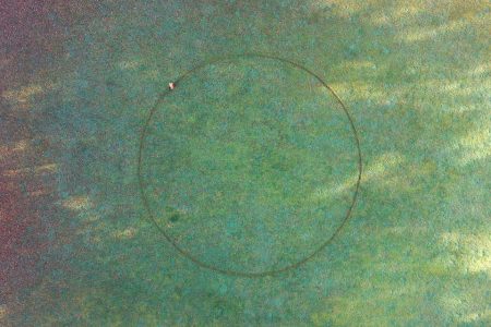 Jeroen Jongeleen | Running in Circles