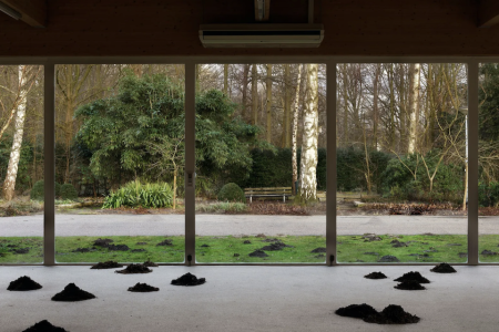 Sarah van Sonsbeeck | Moles of Modernism