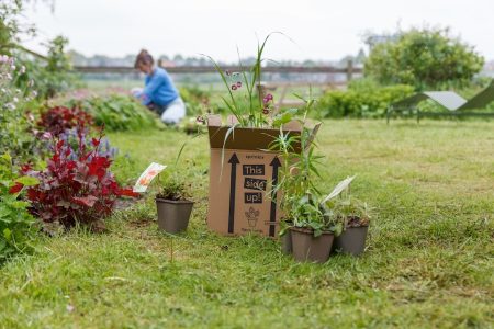 Plantenboxen | De eeuwige tuin & de eetbare tuin