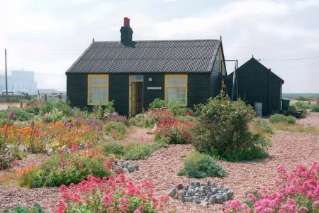 Garden Futures: Designing with Nature